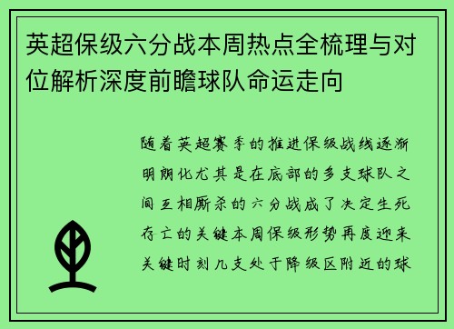 英超保级六分战本周热点全梳理与对位解析深度前瞻球队命运走向